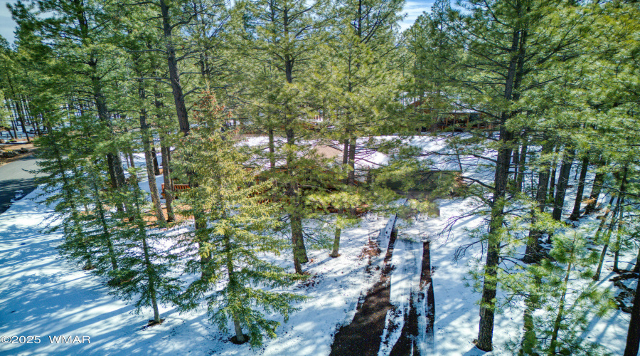 Paxmanphoto_DJI_20250317094122_0057_D
