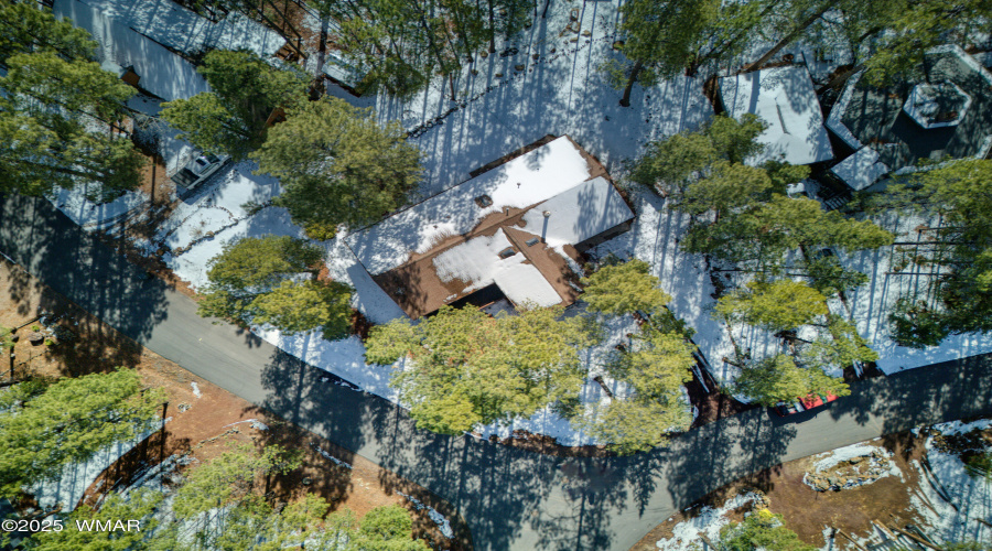 Paxmanphoto_DJI_20250317094136_0060_D