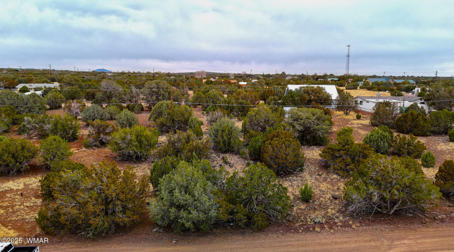 dji_fly_20250326_154952_0546_17430873262