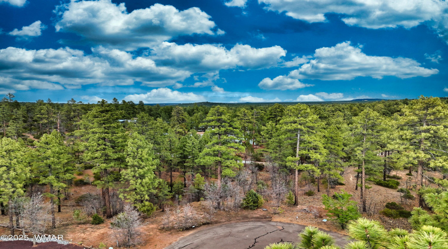 DJI_20250507174309_0004_D - Copy