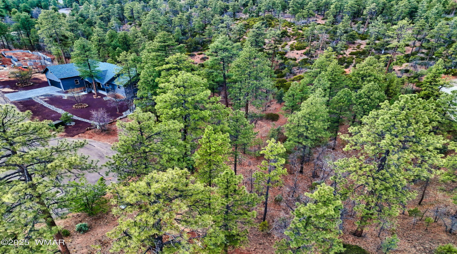 DJI_20250507174435_0007_D - Copy