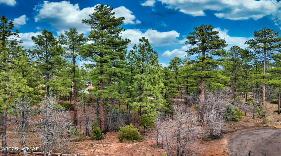 DJI_20250507174206_0002_D - Copy