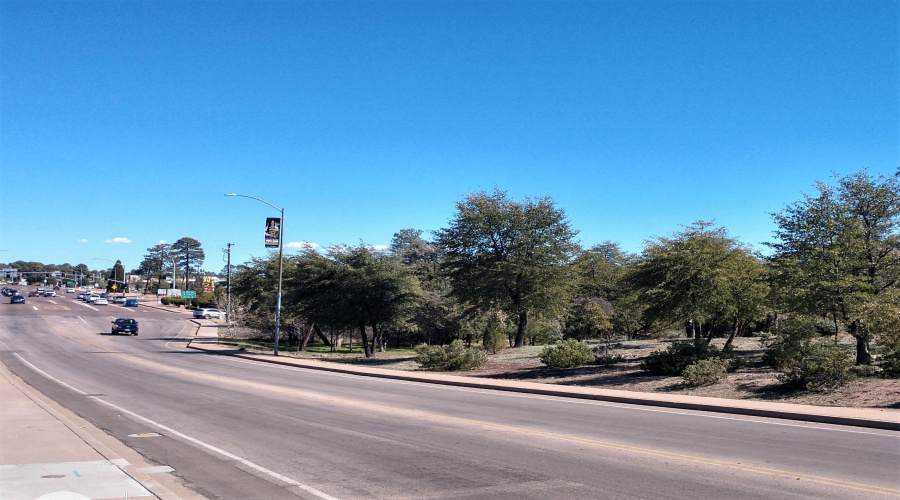 Longhorn looking to intersection
