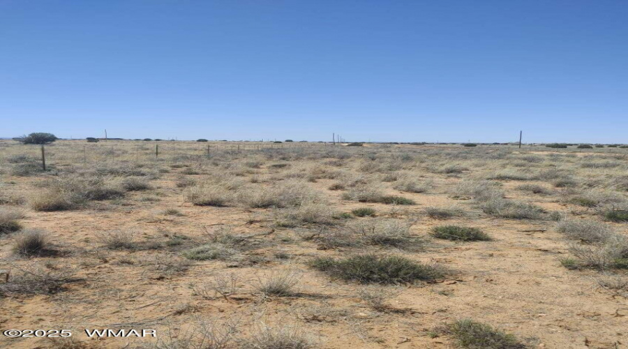 image000003