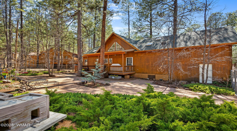 Back Landscaping