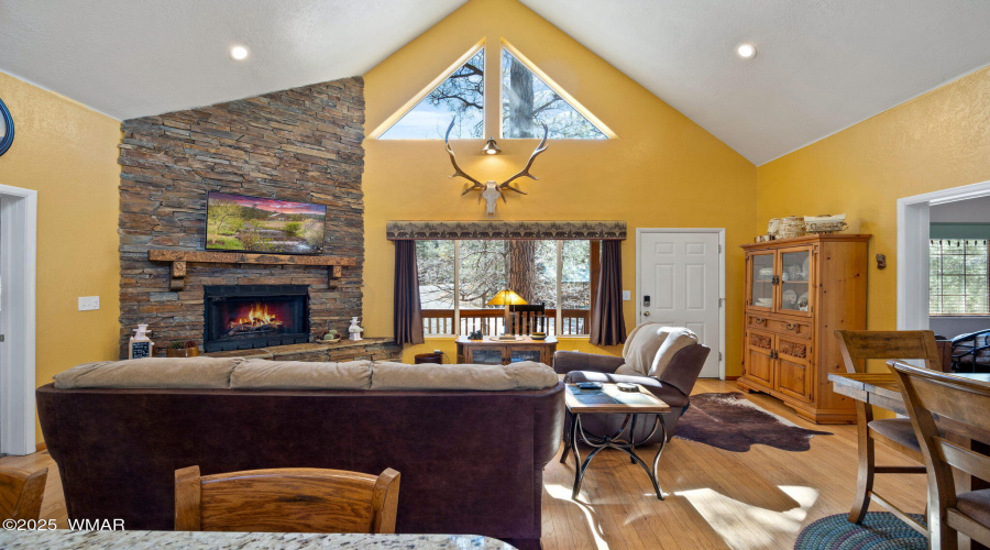Living Vaulted Windows