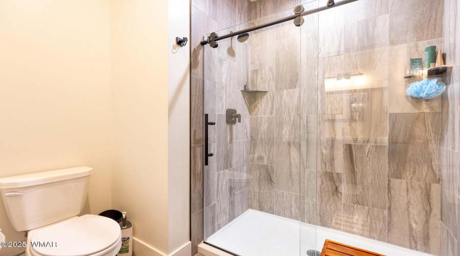 Primary Shower