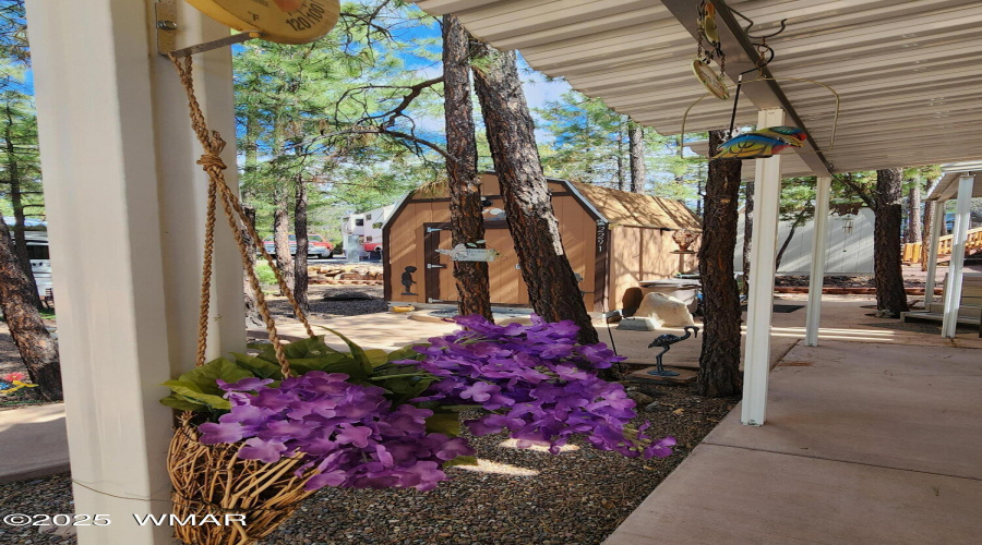 Storage Shed