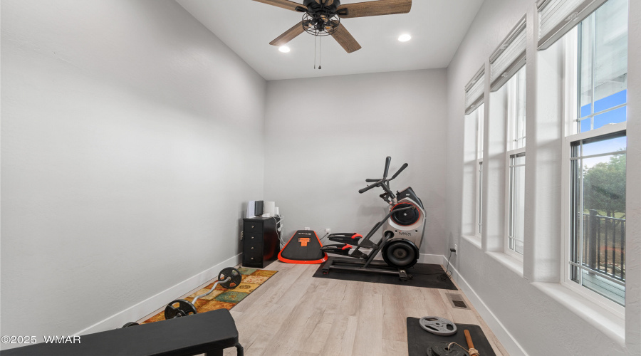 Exercise Room or Den
