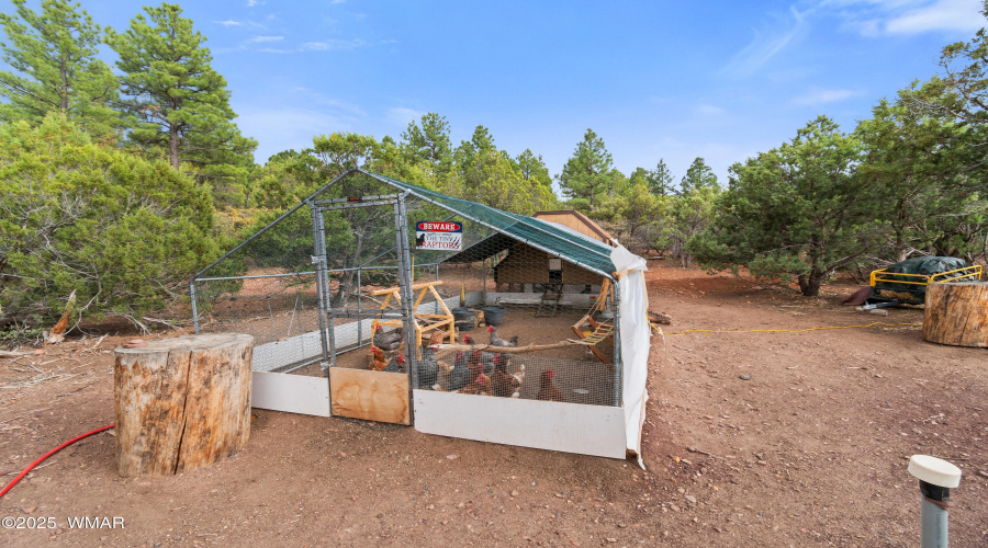 Chicken Coop and Run