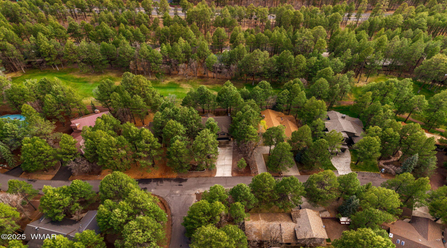 3530SoaringEagleWay-Pinetop-AZ-50