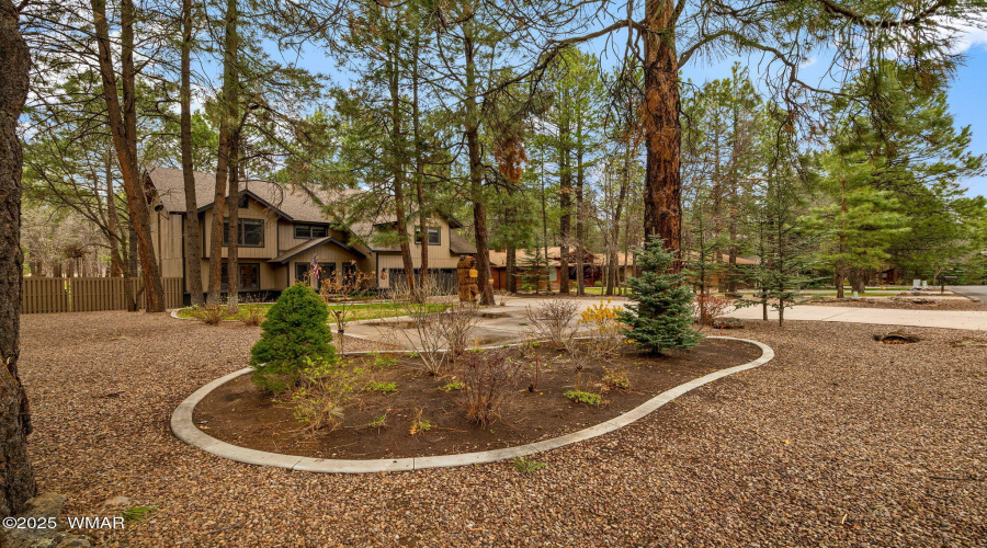 Front Yard