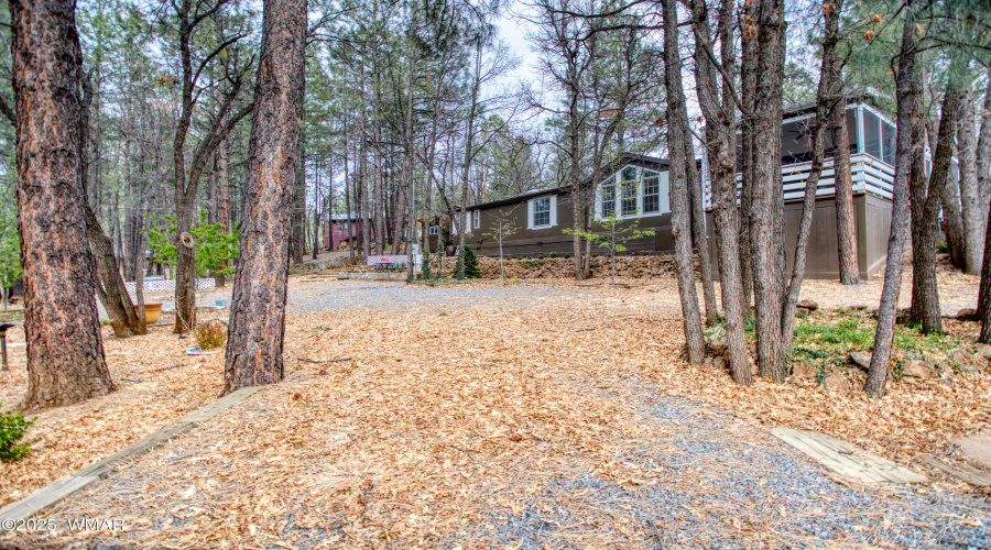 Paxmanphoto_PAX_0046