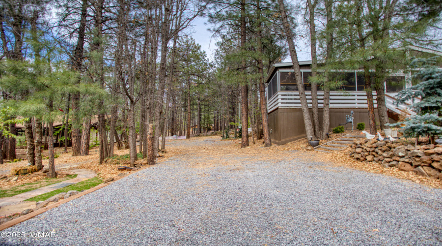 Paxmanphoto_PAX_0049