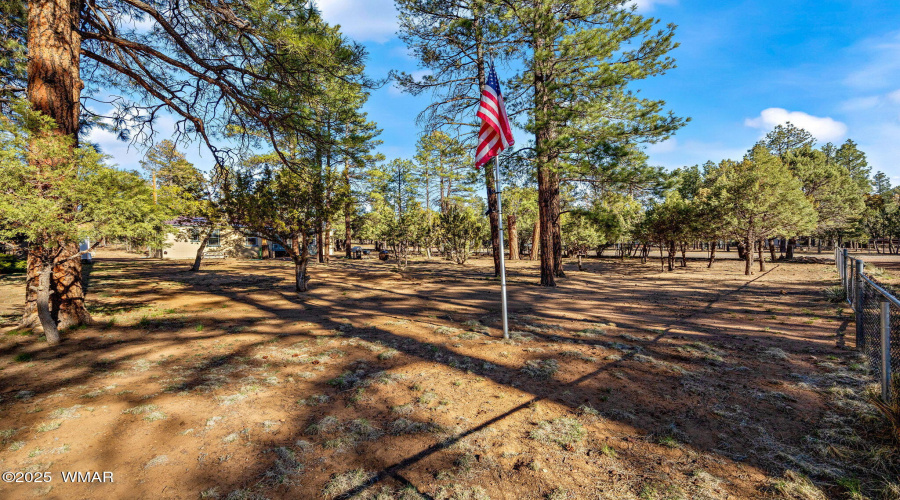 2156TimberDr-HeberOvergaardAZ-19