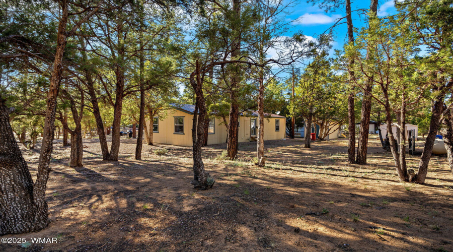 2156TimberDr-HeberOvergaardAZ-24