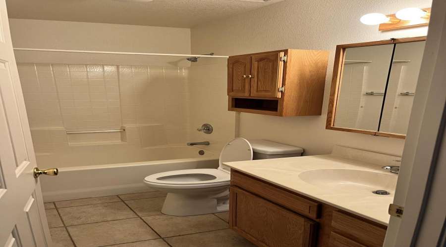 Hall Bathroom