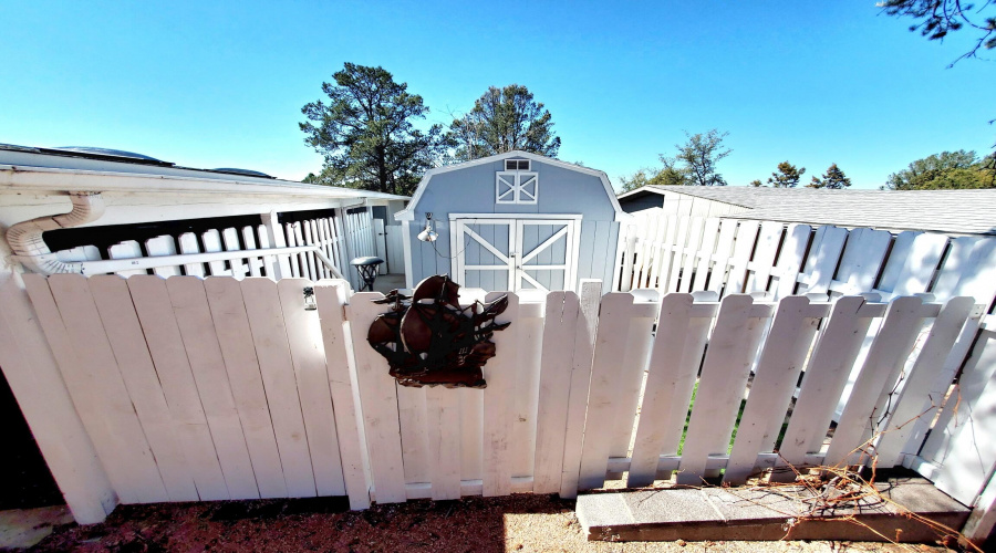 20250320_123700_resized