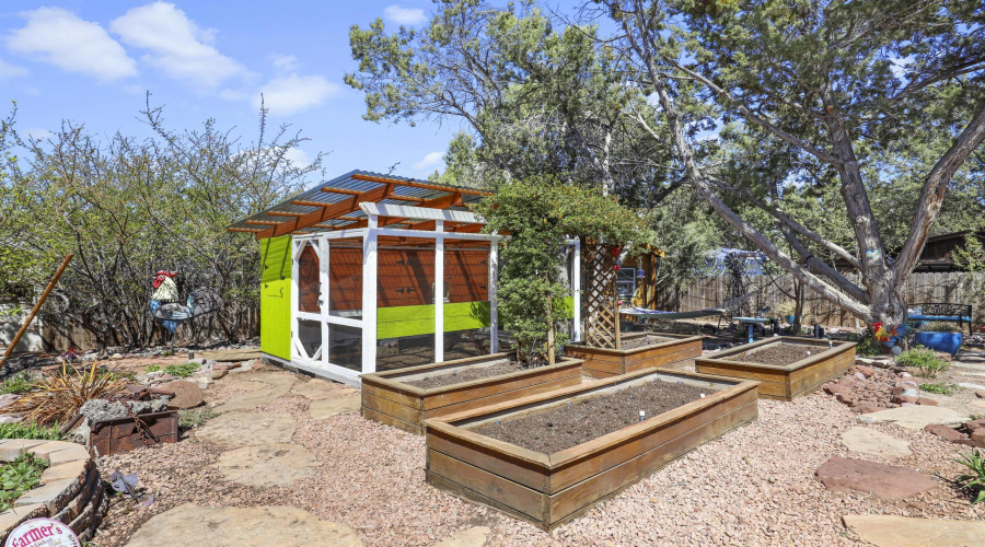Chicken Coop