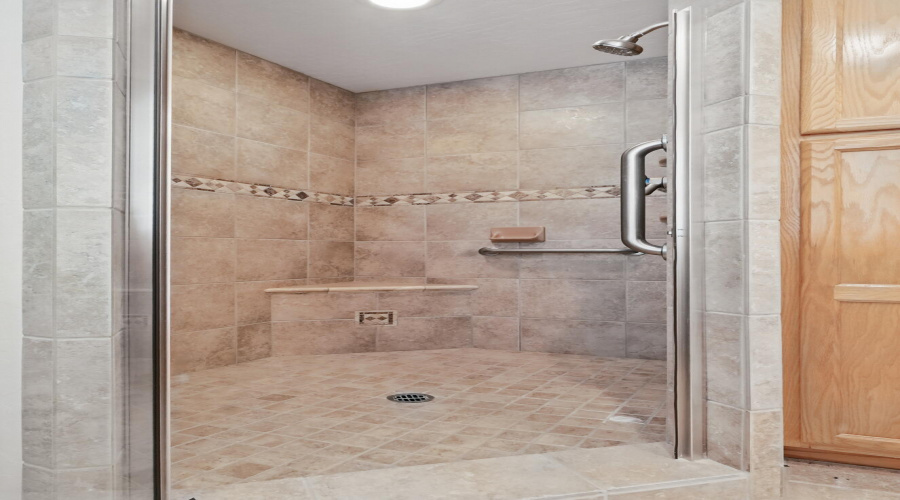 Primary Shower