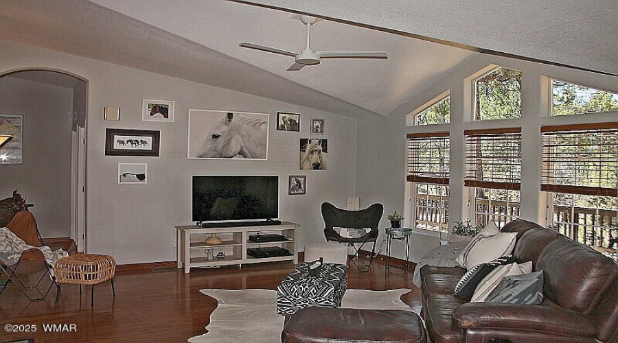 Lots of Natural Light