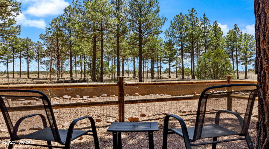 2711HighPineLoop-Heber-AZ-25