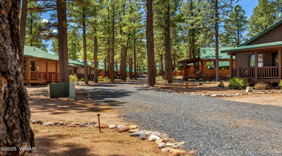 2711HighPineLoop-Heber-AZ-26