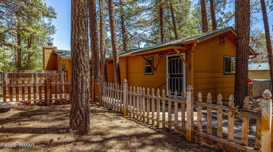 Main House backyard