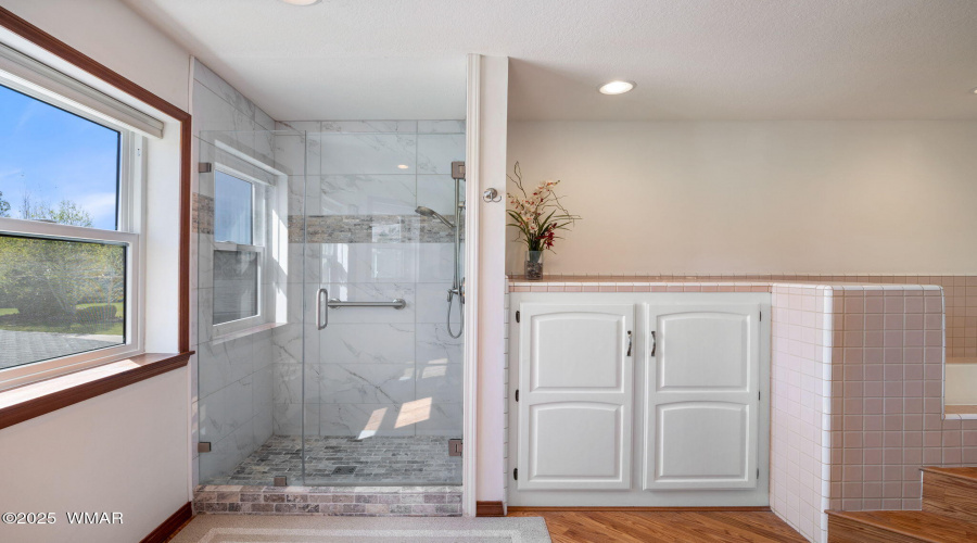 Primary Shower
