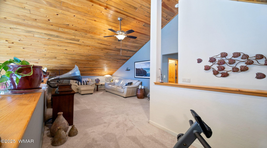 Loft Bonus Space