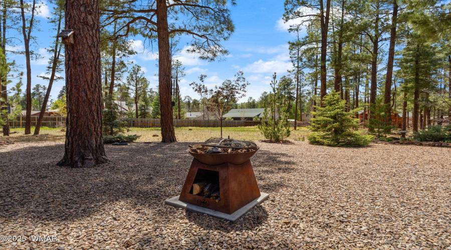 Back Firepit