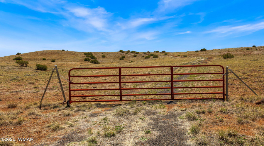 1292CR5020-Concho-AZ-5