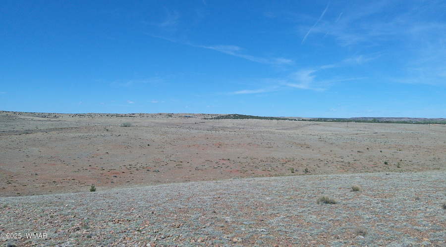 DSCF0008