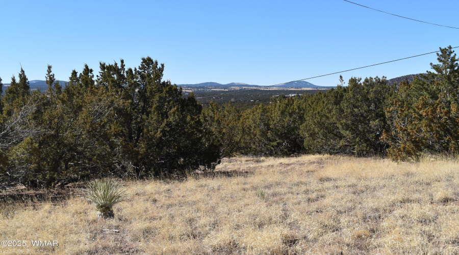 10.13 Acres (approx 441,262 sf)