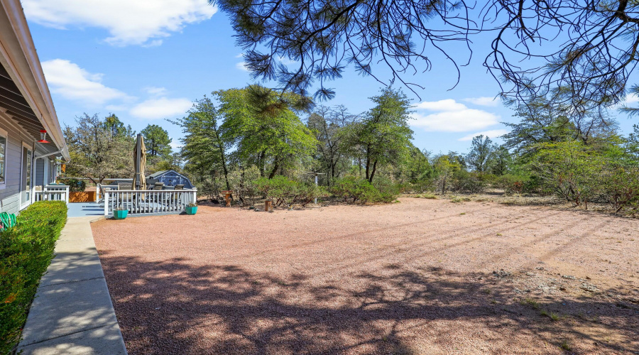 Back of house/yard
