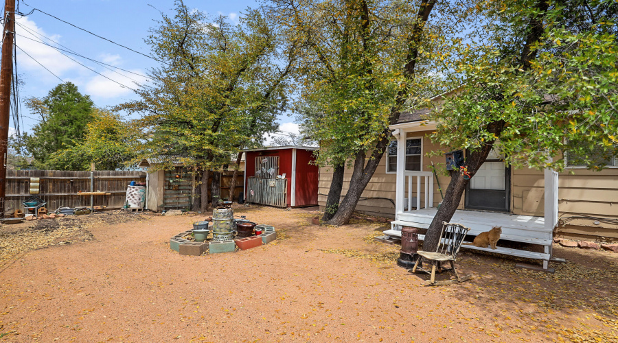 Back Yard a
