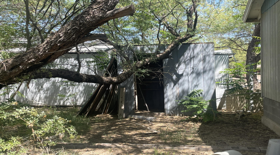 back yard storage