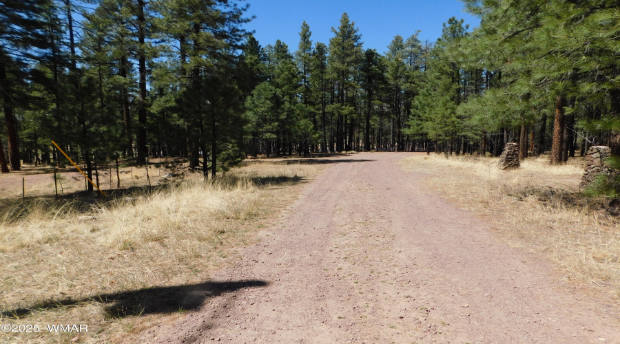DEAD END ROAD