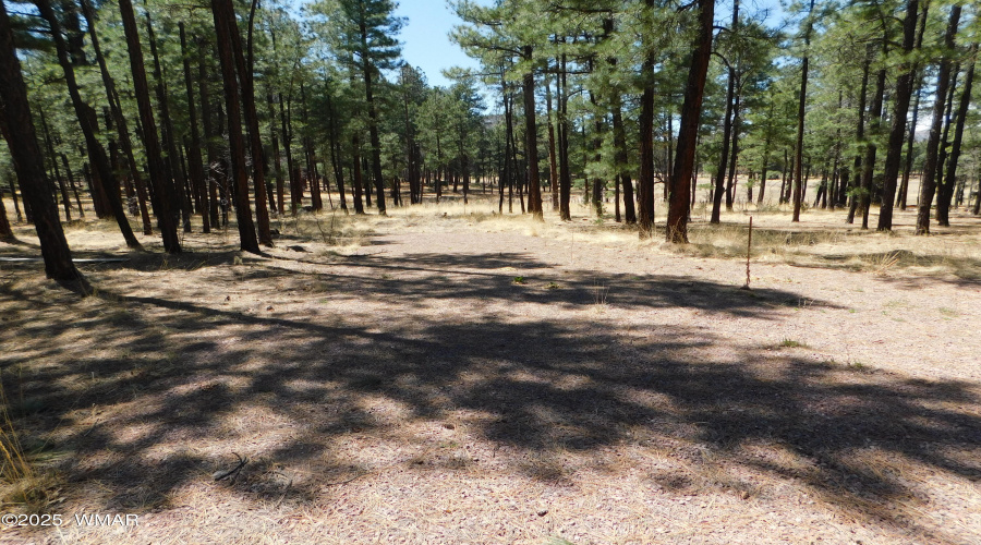 GRAVEL PARKING PAD