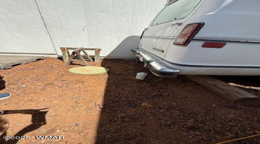 Cleanout for RV