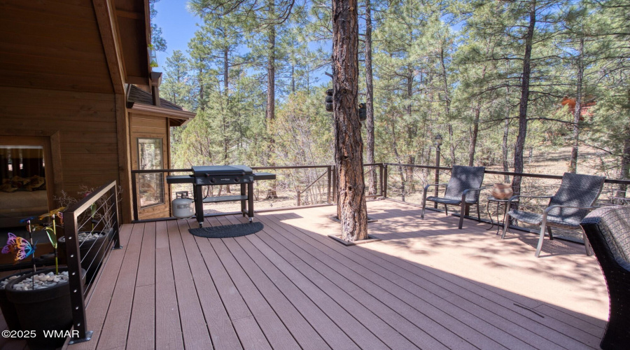 024_Back Deck