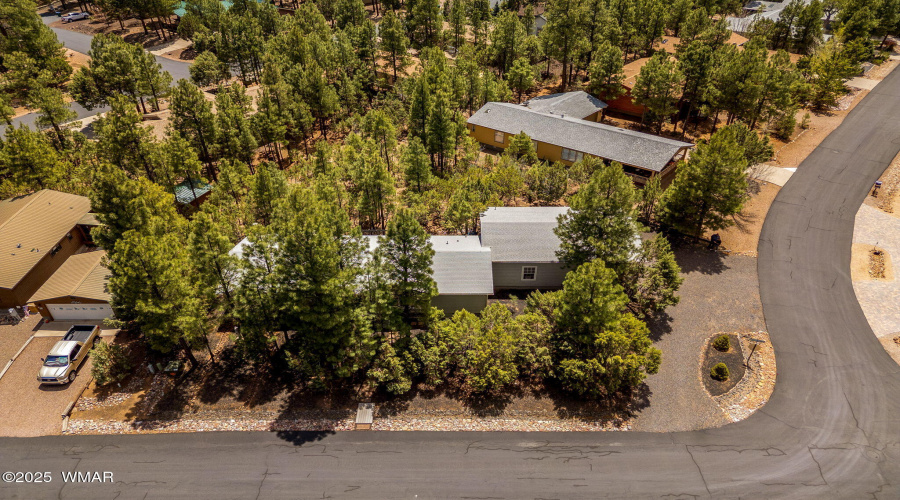 Hacienda Pines neighborhood