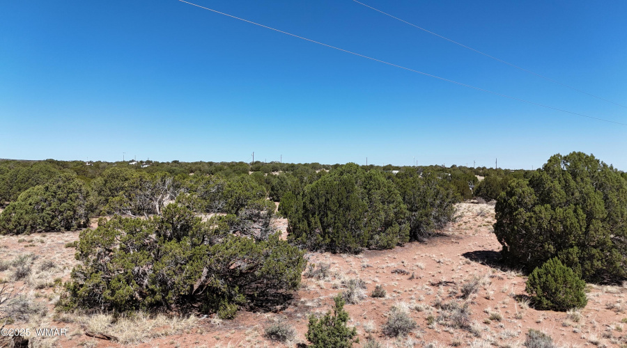 DJI_20250516094842_0070_D