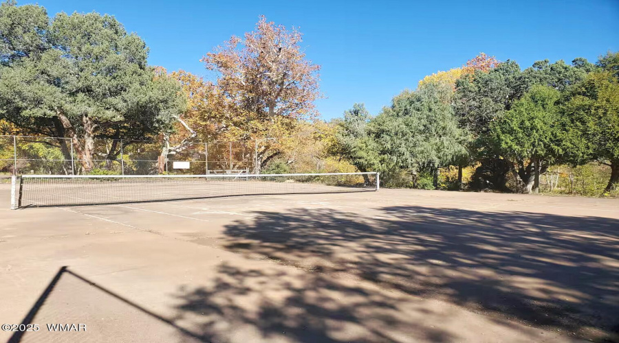 Possum park 6