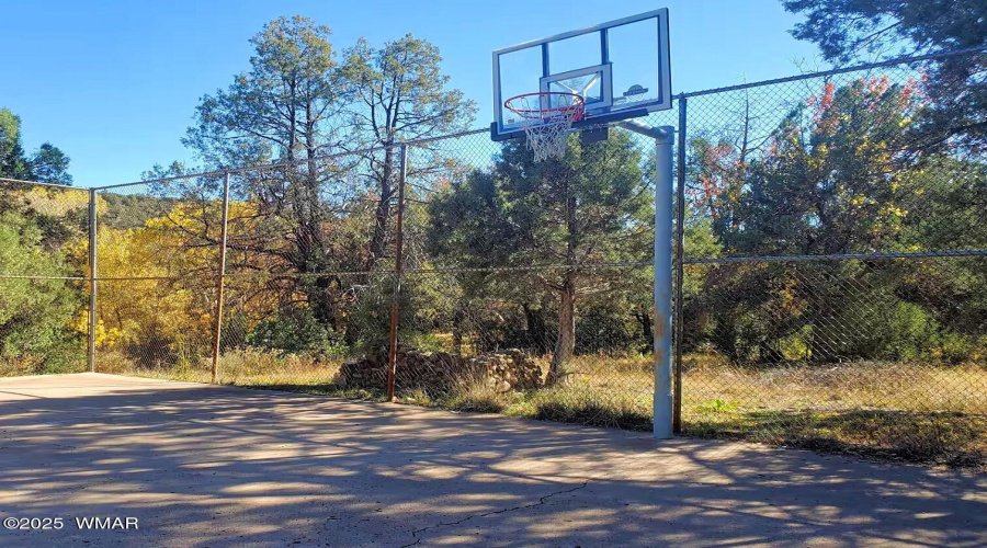 Possum park 7