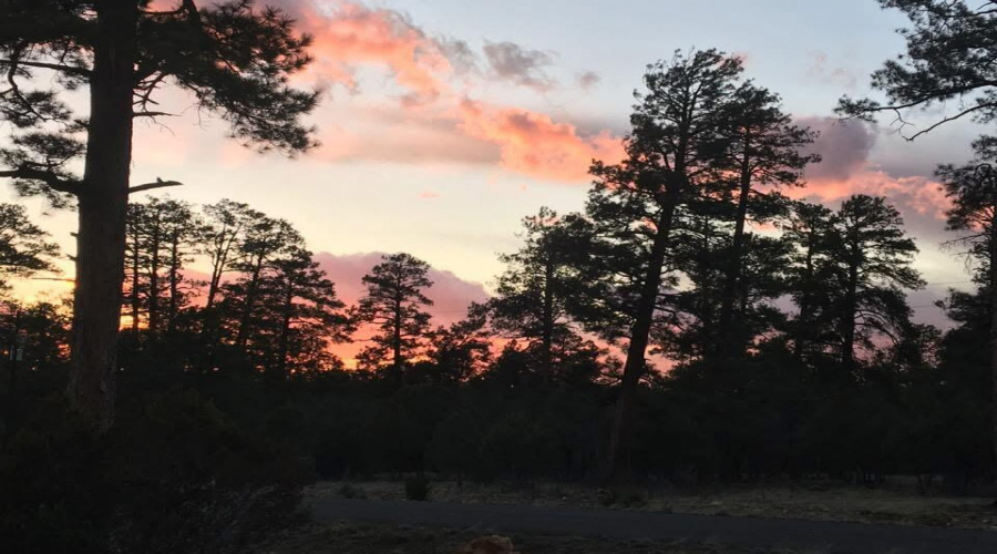 Night Sky