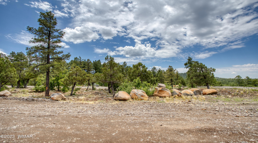 paxmanphotography_PAX_9250