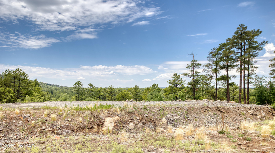 paxmanphotography_PAX_9257