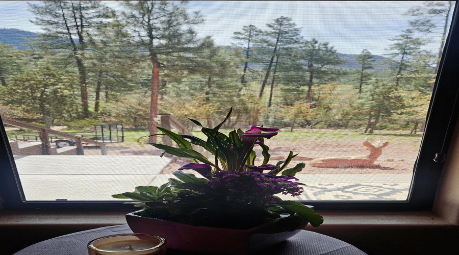 VIEWS FROM EVERY WINDOW!