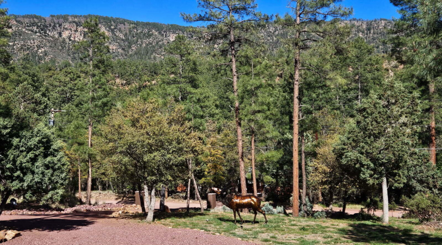 PORTION OF FRONT YARD & VIEWS!